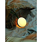 Nordlux Solar-tafellamp Bring To-Go wit-groen (l x b x h: 9,3 x 12 x 26 cm, Groen) | BAUHAUS
