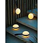 Nordlux Solar-tafellamp Bring To-Go wit-groen (l x b x h: 9,3 x 12 x 26 cm, Groen) | BAUHAUS