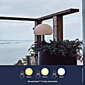 Nordlux Solar-decoratielamp (l x b x h: 20 x 20 x 51,5 cm, Zwart, Wit) | BAUHAUS
