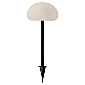 Nordlux Solar-decoratielamp (l x b x h: 20 x 20 x 51,5 cm, Zwart, Wit) | BAUHAUS