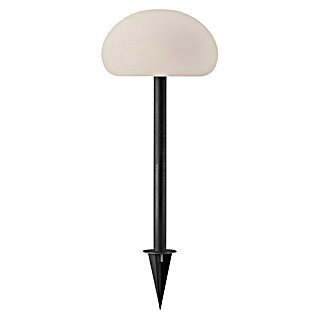 Nordlux Solar-decoratielamp (l x b x h: 20 x 20 x 51,5 cm, Zwart, Wit)