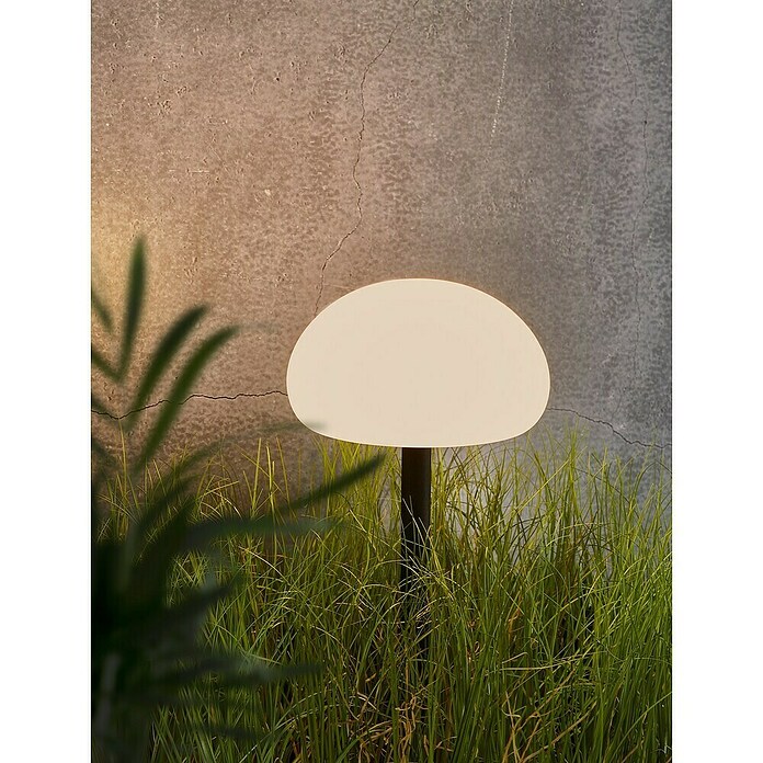 Nordlux Solar-decoratielamp (l x b x h: 20 x 20 x 51,5 cm, Zwart, Wit) | BAUHAUS