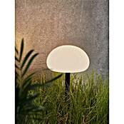 Nordlux Solar-decoratielamp (l x b x h: 20 x 20 x 51,5 cm, Zwart, Wit) | BAUHAUS