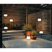 Nordlux Led-tafellamp (l x b x h: 36 x 36 x 30,8 mm, Warm wit) | BAUHAUS
