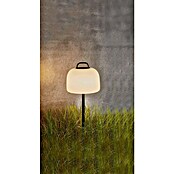 Nordlux Buitenlamp Spike (Hoogte: 30,8 cm) | BAUHAUS