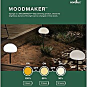 Nordlux Buitenlamp Spike (Hoogte: 30,8 cm) | BAUHAUS