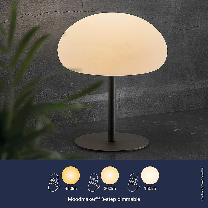 Nordlux Accu-vloerlamp (l x b x h: 34 x 34 x 126 cm) | BAUHAUS