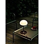 Nordlux Led-tafellamp (l x b x h: 20 x 20 x 35 cm, Warm wit) | BAUHAUS