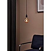 Eglo Bombilla LED Ámbar (E27, Intensidad regulable, Blanco cálido, 245 lm, 4 W) | BAUHAUS