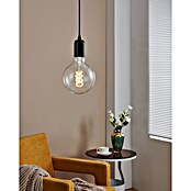 Eglo Bombilla LED Clear (E27, No regulable, Blanco cálido, 8 W, G125) | BAUHAUS