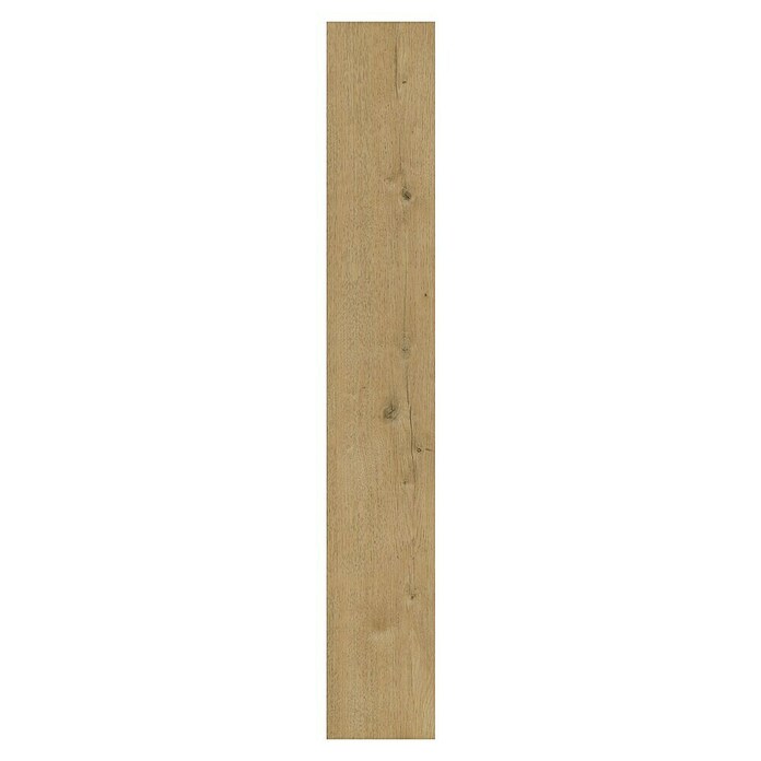 b!design Vinilni pod SPC Conway Hrast  (Rustikalen videz, 1.220 x 181 x 3,5 mm) | 5160 - Voll Vinyl Marke | GCDT - VINYLBÖDEN | GCD - Wand Boden Decke Leisten | GC - Wand Boden Decke Leisten | G - Holz/Bauelem | BAUHAUS
