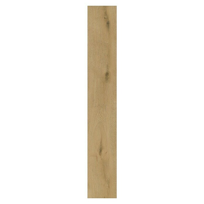 b!design Vinilni pod SPC Conway Hrast  (Rustikalen videz, 1.220 x 181 x 3,5 mm) | 5160 - Voll Vinyl Marke | GCDT - VINYLBÖDEN | GCD - Wand Boden Decke Leisten | GC - Wand Boden Decke Leisten | G - Holz/Bauelem | BAUHAUS