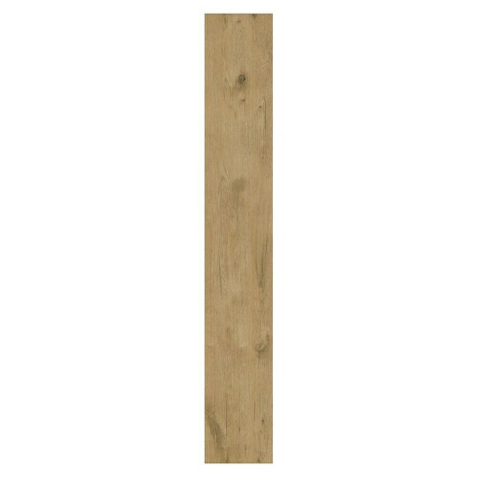 b!design Vinylboden SPC Conway Eiche (Conway Eiche, Landhausdiele, 1 220 x 181 x 3,5 mm) | BAUHAUS