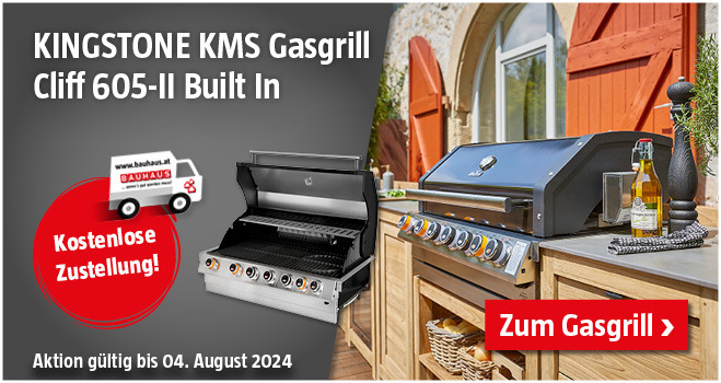 Aktion Kingstone Gasgrill