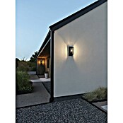 Konstsmide Wandlamp voor buiten Trani (20 W, IP44, E27) | BAUHAUS