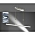 Fischer & Honsel LED-Pendelleuchte Vitan TW 