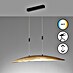 Fischer & Honsel LED-Pendelleuchte Colmar 