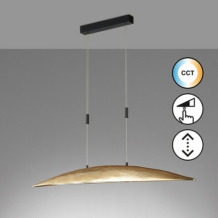 Fischer & Honsel LED-Pendelleuchte Colmar (30 W, Gold/Schwarz, Mehrfarbig) | BAUHAUS