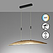 Fischer & Honsel LED-Pendelleuchte Colmar (30 W, Gold/Schwarz, Mehrfarbig) | BAUHAUS