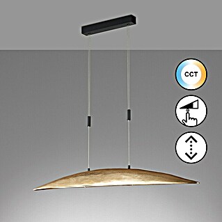 Fischer & Honsel LED-Pendelleuchte Colmar (30 W, Gold/Schwarz, Mehrfarbig)