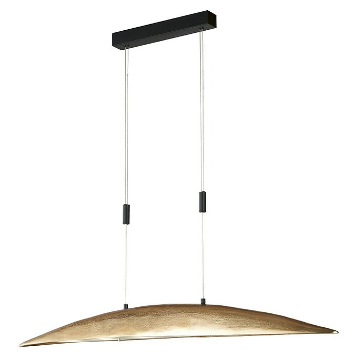 Fischer & Honsel LED-Pendelleuchte Colmar (30 W, Gold/Schwarz, Mehrfarbig) | BAUHAUS