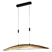 Fischer & Honsel LED-Pendelleuchte Colmar (30 W, Gold/Schwarz, Mehrfarbig) | BAUHAUS