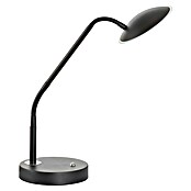 Fischer & Honsel Tallri LED-Tischleuchte (7,5 W, L x B x H: 16 x 16 x 60 cm, Sandschwarz, Mehrfarbig) | BAUHAUS