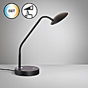 Fischer & Honsel Tallri LED-Tischleuchte (7,5 W, L x B x H: 16 x 16 x 60 cm, Sandschwarz, Mehrfarbig) | BAUHAUS