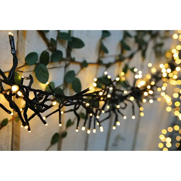 Tween Light LED-Clusterlichterkette - Außen, Länge: 12,4 m, 1.000 Stk., Netzbetrieben, Lichtfarbe: Warmweiß - Eine Lichterkette mit warmweißen Lichtern windet sich um eine Wand mit grünen Blättern und erzeugt eine festliche Atmosphäre.