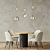 Fischer & Honsel LED-Pendelleuchte Lavin (27 W, Gold/Schwarz, Warmweiß, 3 Stk.) | BAUHAUS