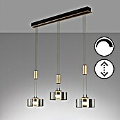 Fischer & Honsel LED-Pendelleuchte Lavin (27 W, Gold/Schwarz, Warmweiß, 3 Stk.) | BAUHAUS