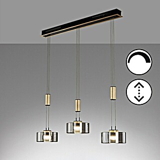 Fischer & Honsel LED-Pendelleuchte Lavin (27 W, Gold/Schwarz, Warmweiß, 3 Stk.)