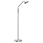 Fischer & Honsel Tallri LED-Stehleuchte (7,5 W, Höhe: 135 cm, Nickel, Mehrfarbig, Anzahl Leuchtenköpfe: 1 Stk.) | BAUHAUS