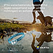 Varta Hoofdlamp (IPX4) | BAUHAUS