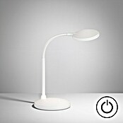 Fischer & Honsel LED-Tischleuchte Work (4,5 W, L x B x H: 22 x 14,5 x 36,5 cm, Weiß, Warmweiß) | BAUHAUS