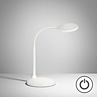 Fischer & Honsel LED-Tischleuchte Work (4,5 W, L x B x H: 22 x 14,5 x 36,5 cm, Weiß, Warmweiß)