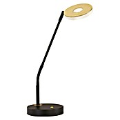 Fischer & Honsel Dent LED-Tischleuchte (7,5 W, L x B x H: 16 x 16 x 60 cm, Gold/Sandschwarz, Mehrfarbig) | BAUHAUS