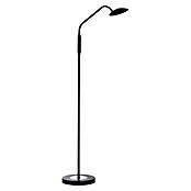 Fischer & Honsel Tallri LED-Stehleuchte (7,5 W, Höhe: 135 cm, Sandschwarz, Mehrfarbig, Anzahl Leuchtenköpfe: 1 Stk.) | BAUHAUS