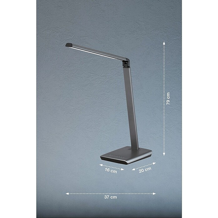 Fischer & Honsel LED-Tischleuchte Bright (9 W, L x B x H: 20 x 16 x 79 cm, Eisen, Mehrfarbig) | BAUHAUS