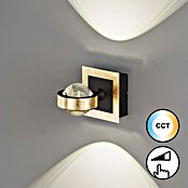 Fischer & Honsel LED-Wandleuchte Cluedo (7,5 W, L x B x H: 12 x 12 x 16,5 cm, Blattgoldfarben, Mehrfarbig) | BAUHAUS