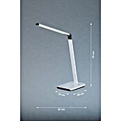 Fischer & Honsel LED-Tischleuchte Bright (9 W, L x B x H: 20 x 16 x 79 cm, Silber, Mehrfarbig) | BAUHAUS