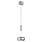 Fischer & Honsel LED-Pendelleuchte Colette (1 Stk., 9 W, Nickel, Nickel, Warmweiß) | BAUHAUS