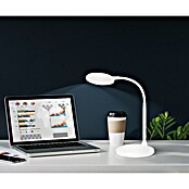 Fischer & Honsel LED-Tischleuchte Work (4,5 W, L x B x H: 22 x 14,5 x 36,5 cm, Weiß, Warmweiß) | BAUHAUS