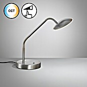 Fischer & Honsel Tallri LED-Tischleuchte (7,5 W, L x B x H: 16 x 16 x 60 cm, Nickel, Mehrfarbig) | BAUHAUS