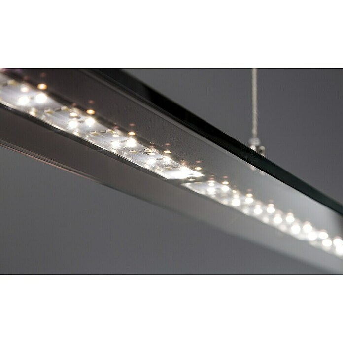 Fischer & Honsel LED-Pendelleuchte Tenso TW (28 W, Schwarz, Mehrfarbig) | BAUHAUS