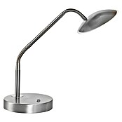 Fischer & Honsel Tallri LED-Tischleuchte (7,5 W, L x B x H: 16 x 16 x 60 cm, Nickel, Mehrfarbig) | BAUHAUS