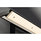 Fischer & Honsel LED-Wandleuchte Pare TW (20 W, L x B x H: 60 x 11 x 10 cm, Sandschwarz, Mehrfarbig) | BAUHAUS