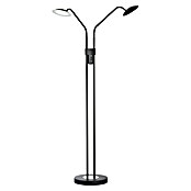 Fischer & Honsel Tallri LED-Stehleuchte (15 W, Höhe: 135 cm, Sandschwarz, Mehrfarbig, Anzahl Leuchtenköpfe: 2 Stk.) | BAUHAUS