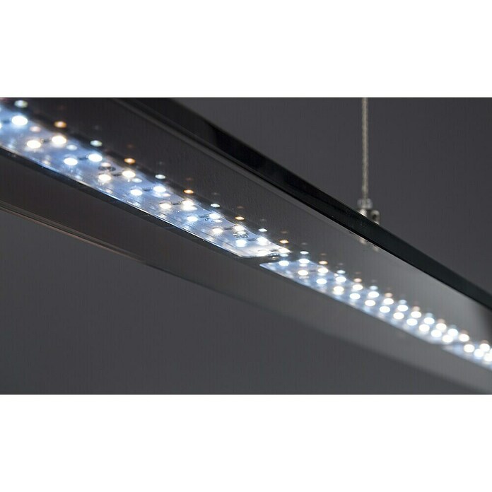 Fischer & Honsel LED-Pendelleuchte Tenso TW (28 W, Schwarz, Mehrfarbig) | BAUHAUS