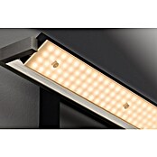 Fischer & Honsel LED-Wandleuchte Pare TW (20 W, L x B x H: 60 x 11 x 10 cm, Sandschwarz, Mehrfarbig) | BAUHAUS